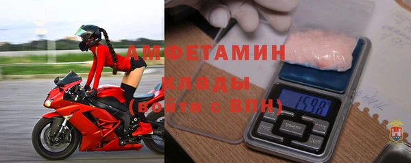 прущие грибы Балахна