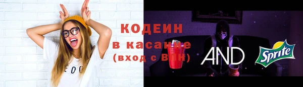 прущие грибы Балахна