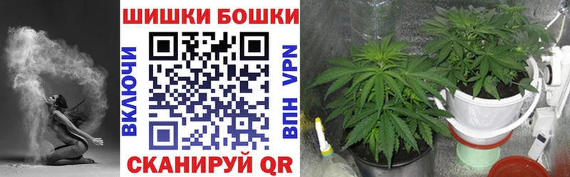 Марихуана конопля  Кыштым 